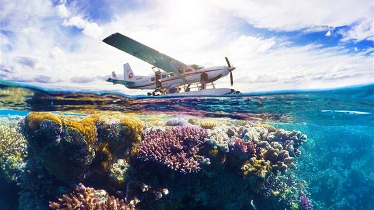 Exploring the Wonders of the Great Barrier Reef: A Journey to Australia’s Natural Treasure