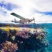 Exploring the Wonders of the Great Barrier Reef: A Journey to Australia’s Natural Treasure